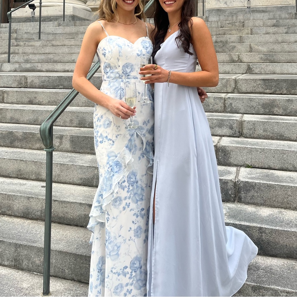 Ice blue birds grey bridesmaid dress